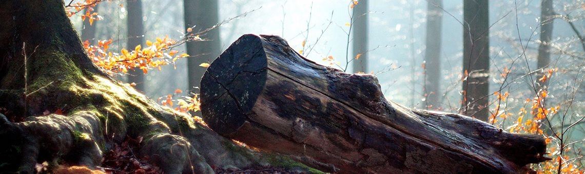 Ooit komt die dag | Helder