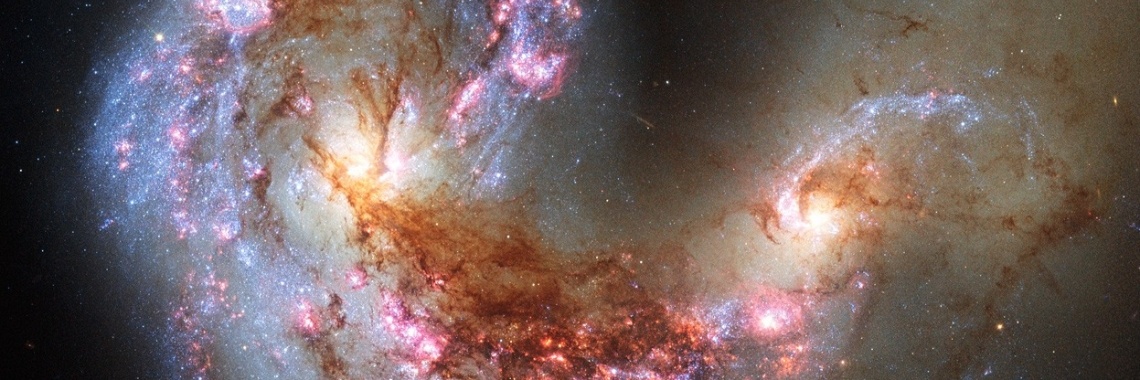 - The soul connection in action -  | Priscilla van Ham