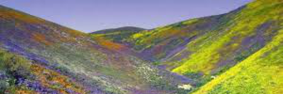 Iran ontstaan op een kruispunt | Wendy