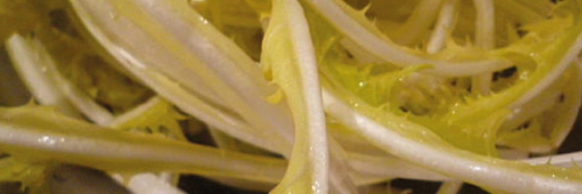 molsla zelf kweken in je bloembak | DeWildPlukkersInfoGroep