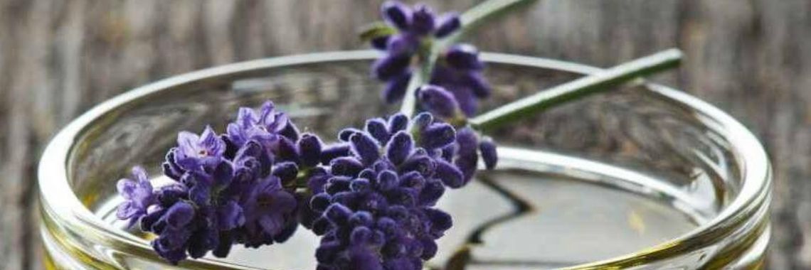 Wildplukkersinfogroep Hoofdstuk Recepten/Remedies. | DeWildPlukkersInfoGroep