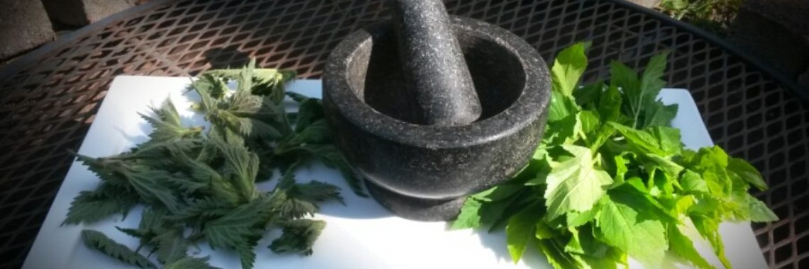 Zevenblad pesto vers gemaakt uit de polder. | DeWildPlukkersInfoGroep