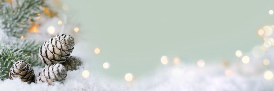 Kerstboom | Joni-Dorian