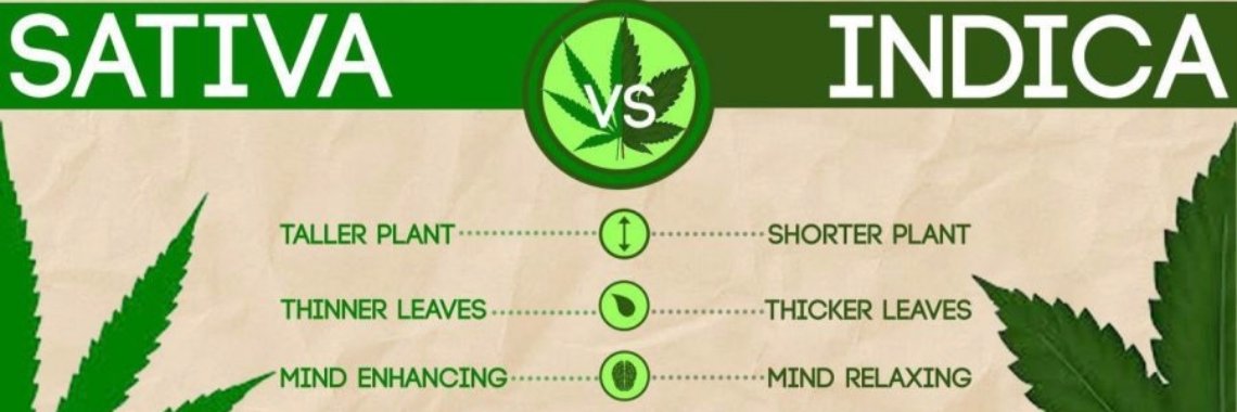 CBD = geen wiet! | Mell Catsoul