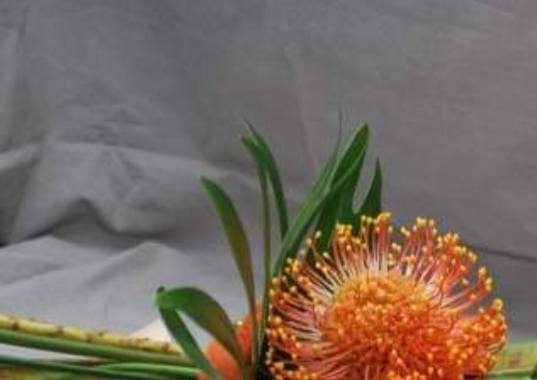 Een dagje zorg... met een rouw randje | Mell Catsoul