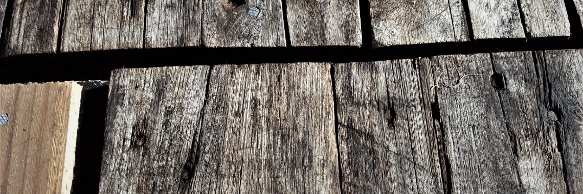 02/11/2020 #Yoorsnovember | DidI'Ms world