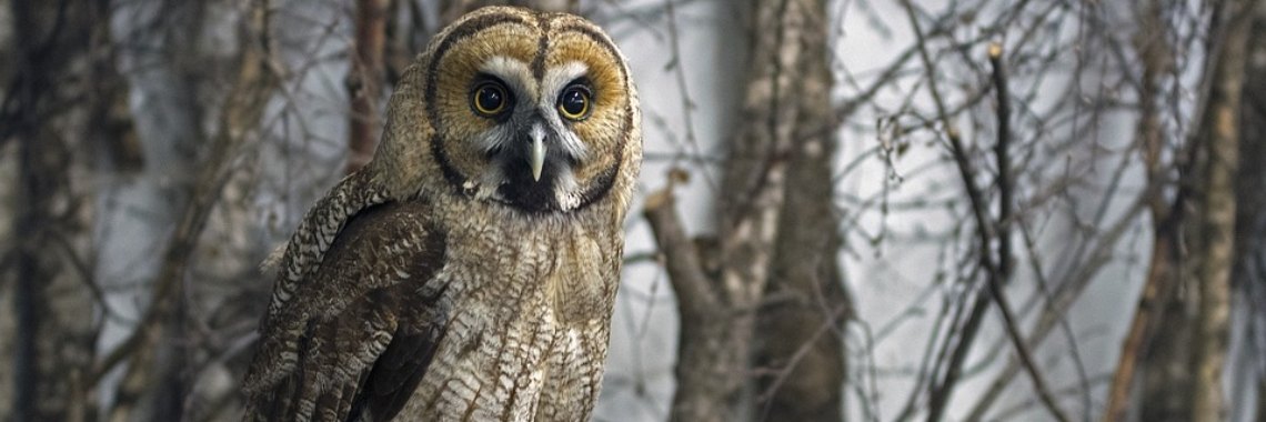 Alles is de schuld van school en school moet het oplossen. | DidI'Ms world