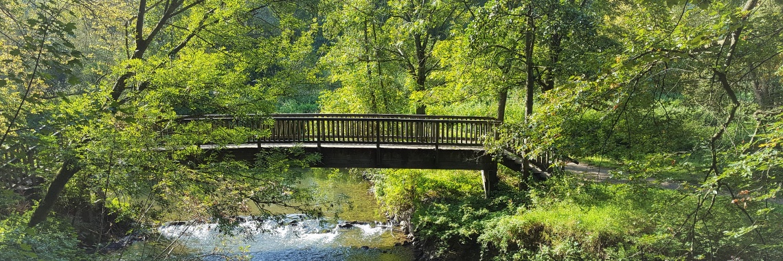 Als de natuur je een foto geeft. | DidI'Ms world