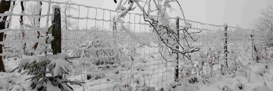 Baraque Michel: wandelen in de sneeuw (foto's) | DidI'Ms world