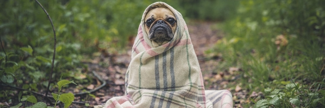 Keep warm and still cut back on electricity and electrical appliances. | DidI'Ms world