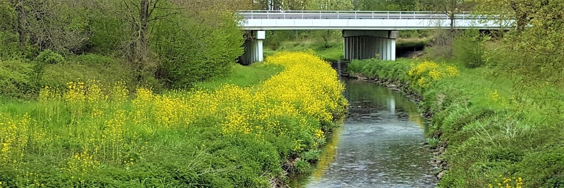 Camini 1 Susteren Zuid Limburg | DidI'Ms world