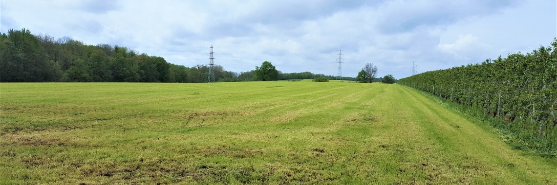 Camini 3 Schimmert Zuid-Limburg | DidI'Ms world