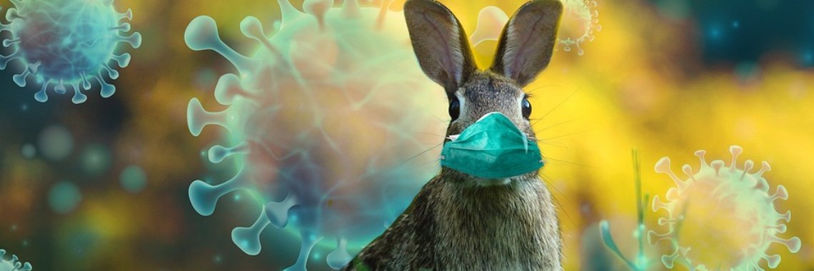 Coronamaatregelen verwarrend en niet duidelijk | DidI'Ms world