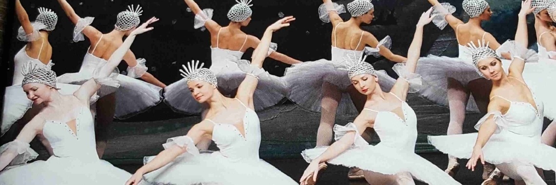 Dansende zwanen in # HET ZWANENMEER | DidI'Ms world