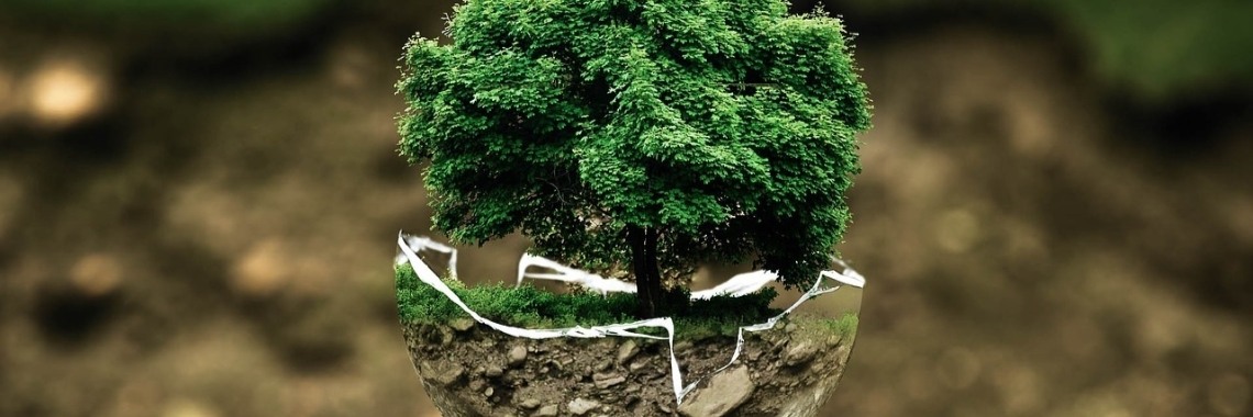 Als de mensheid verdwijnt is dan de aarde gered?  | DidI'Ms world