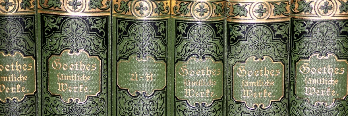 Facinerend plaatje: "Hier is Goethe nooit geweest". | DidI'Ms world