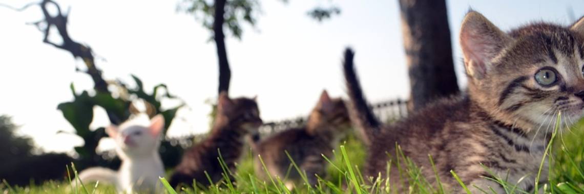 Is het leuk om moeder te zijn? | DidI'Ms world