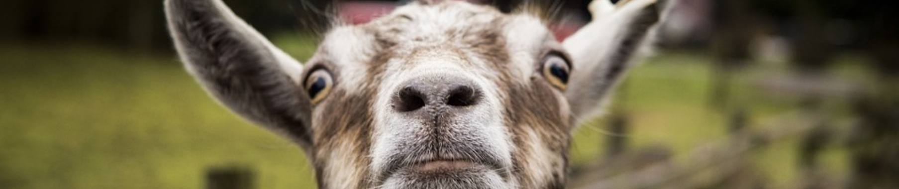 Je bent niet gekwetst, je bent een zeikerd | DidI'Ms world