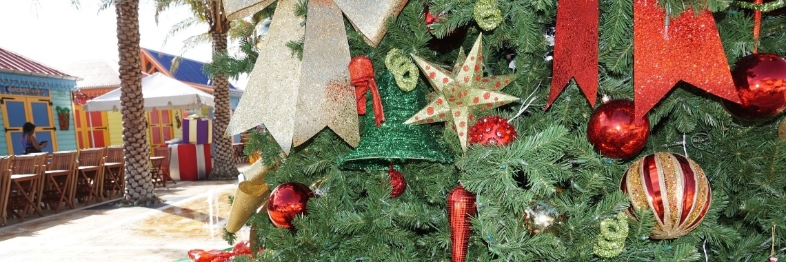 Kerstmis half juni?  | DidI'Ms world