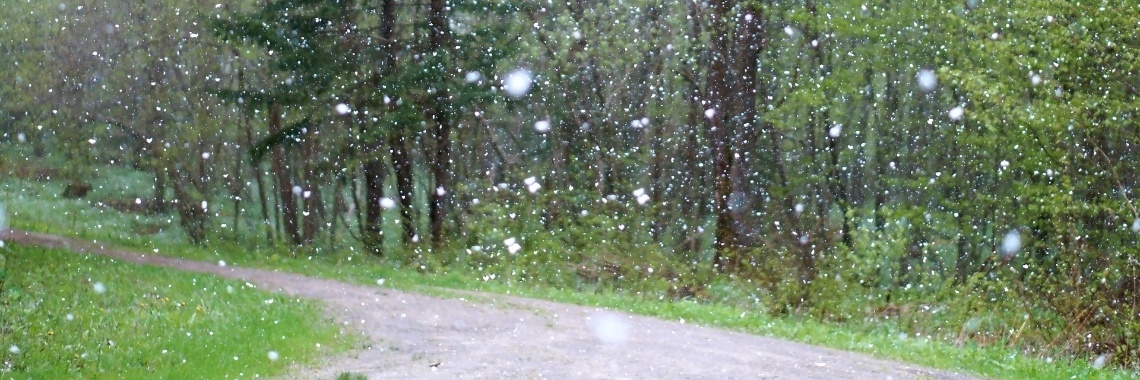 Kleine overpeinzing over natte sneeuw versus Schneeregen. | DidI'Ms world