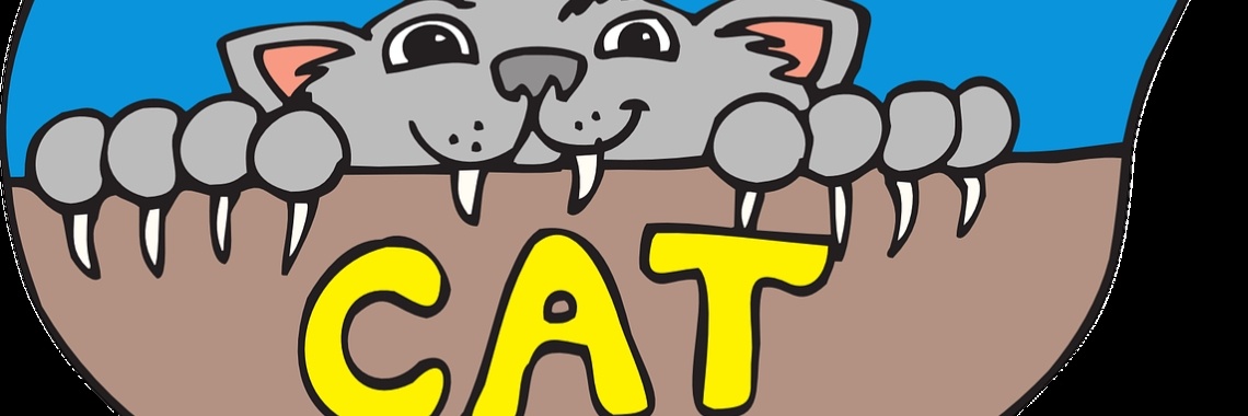 Krabpaal maken van beeld DIY | DidI'Ms world