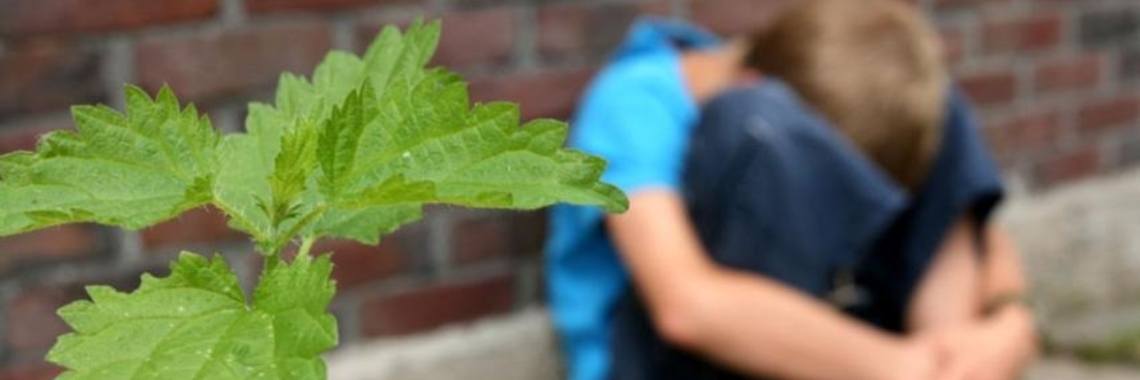 Laat kinderen kind zijn! Is het mogelijk om nog gewoon kind te zijn in in deze tijd? | DidI'Ms world