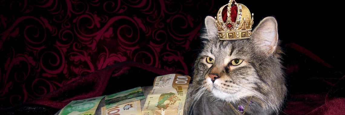 אבל אתה לא עושה את זה בשביל הכסף! | DidI'Ms world