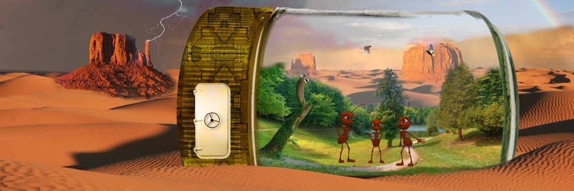 Mieren houden (van) in huis?! | DidI'Ms world