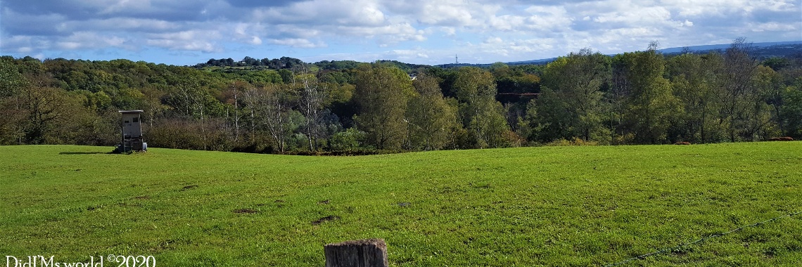 Pauline von Borghese route | DidI'Ms world