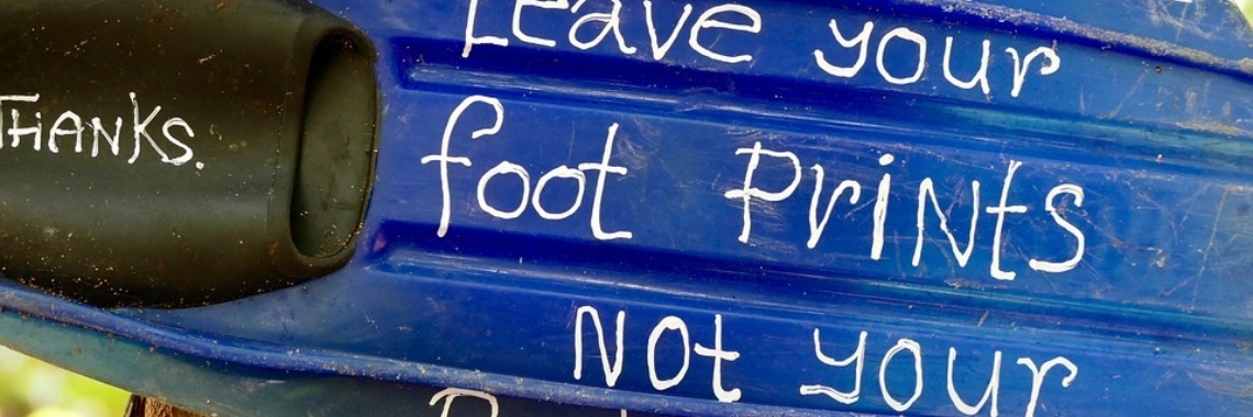 Plastic. Fantastic. NOT! Leave your foot prints not your rubbish. Teken jij de petitie ook? | DidI'Ms world