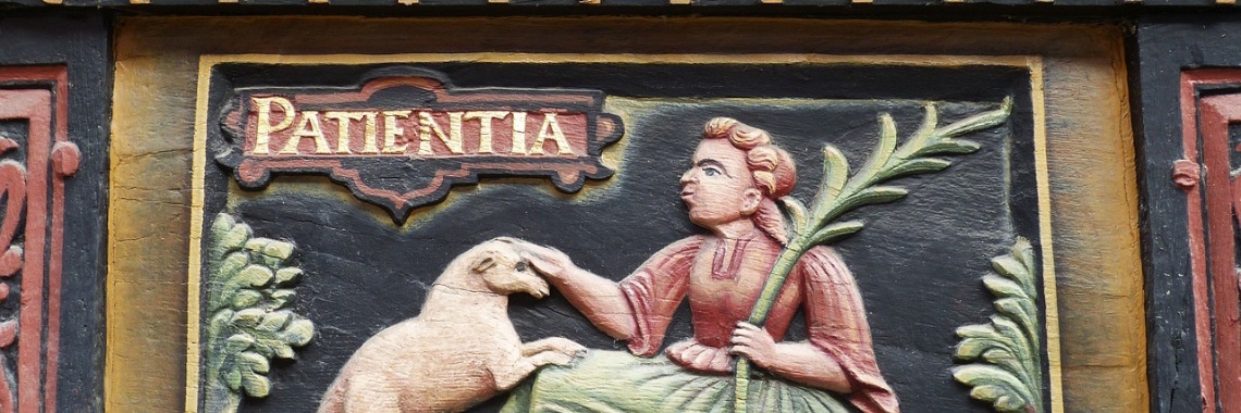 Potje geduld | DidI'Ms world