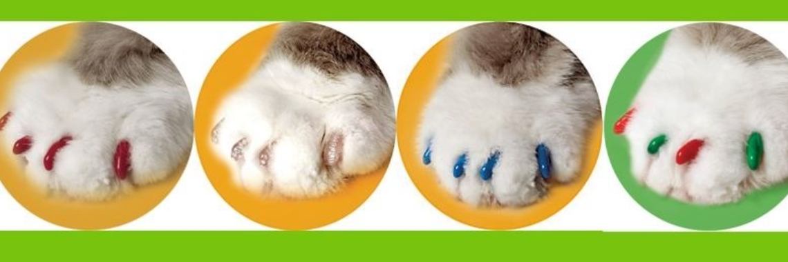 Soft paws, de "gelnagels" voor katten. | DidI'Ms world