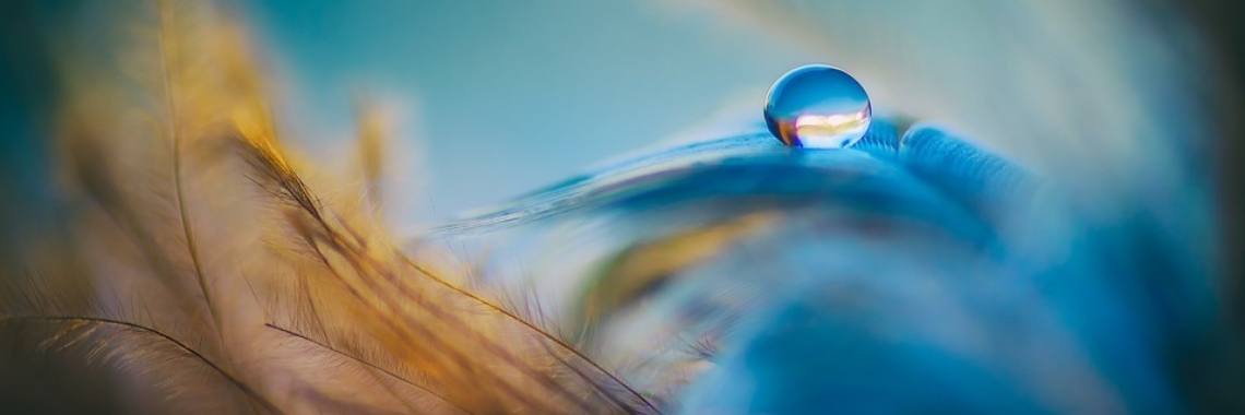 Ben jij een druppel op de gloeiende plaat? Stem! | DidI'Ms world