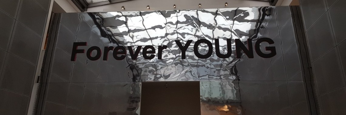 Tentoonstelling in het Modemuseum Hasselt  | DidI'Ms world