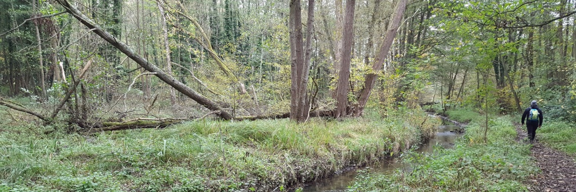 Wandelroute Herzogenrath - Alsdorf (10,2 km) | DidI'Ms world