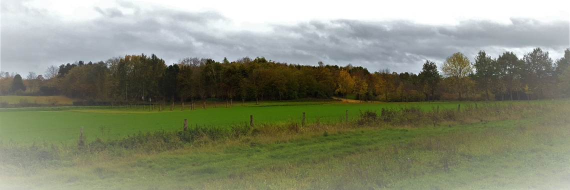 Wandelroute Ubach-Palenberg/Geilenkirchen | DidI'Ms world