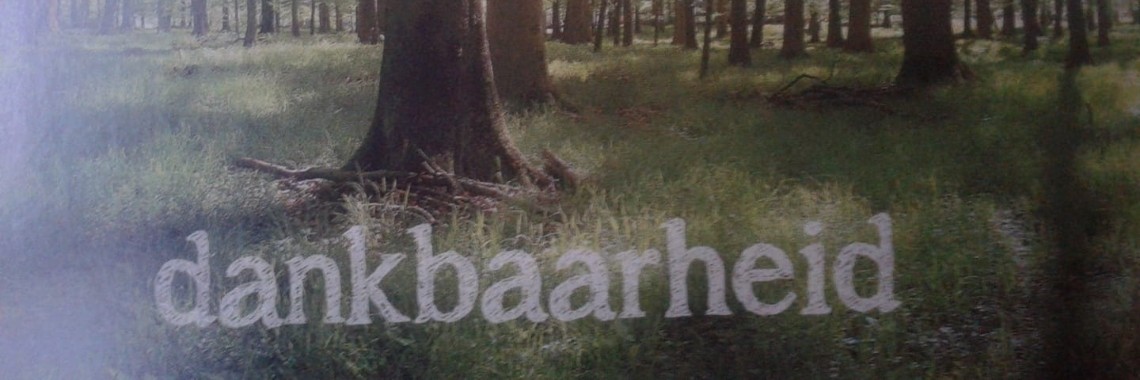 Dankbaarheid | Spirit of light