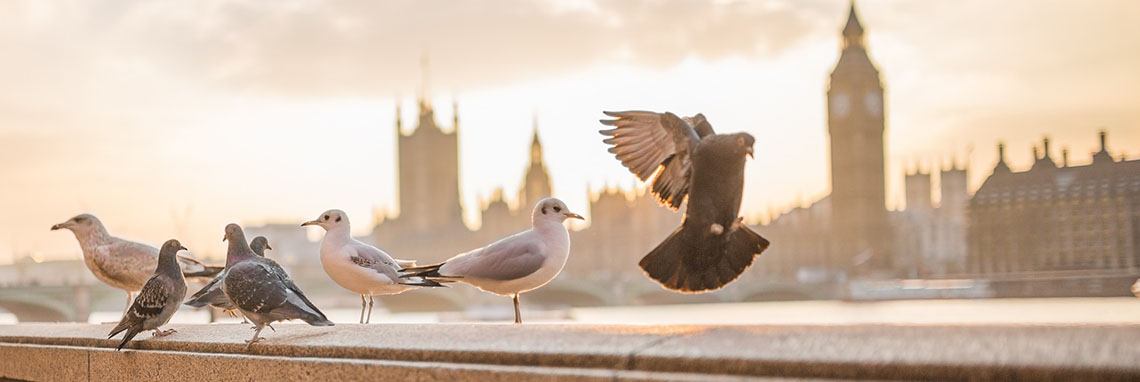 heel veel mensen maar niemand hier.  | Eddiee