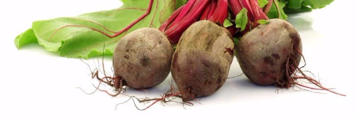 moestuin tip #6 | Michel gewoon michel