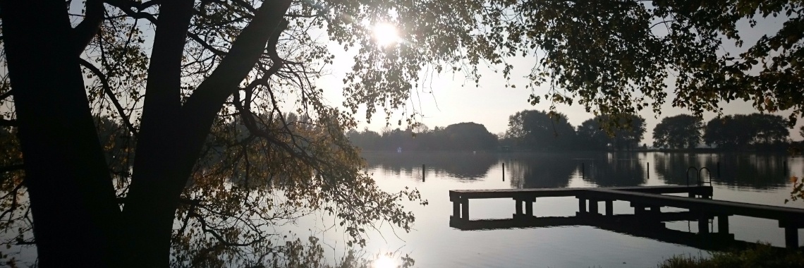 Ontdekking van het bloggen! | Hayden