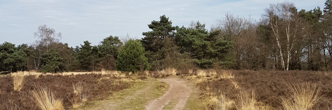 LosLoop Gebied Regte Heide | KatAna