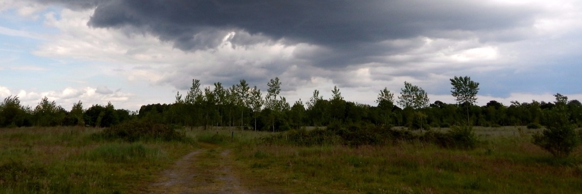 Mereltje Fotografie | MereltjevanBrabant