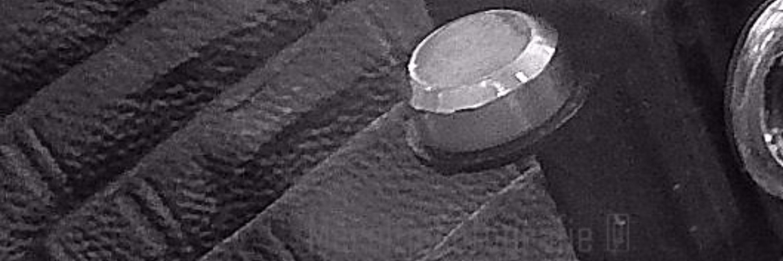 Mereltje "Wie weet"van de week 22 | MereltjevanBrabant