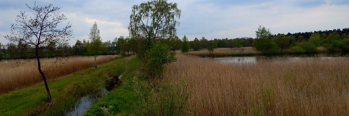 Mereltjes "Wie weet" van de week 10 | MereltjevanBrabant