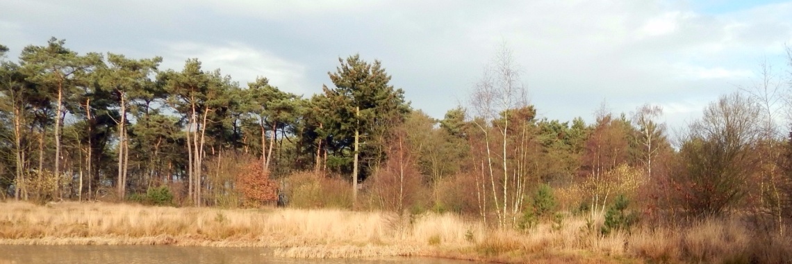 Mereltjes "Wie weet" van de week 8 | MereltjevanBrabant