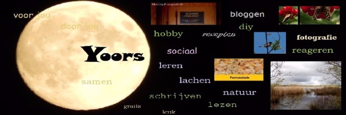 Yoors Eerste Indruk Challenge door Mereltje | MereltjevanBrabant