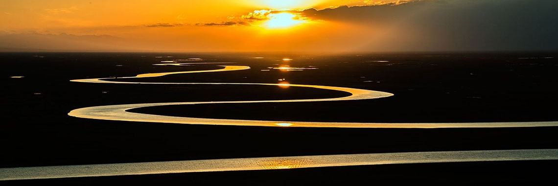 Als lang en gelukkig... gewoon overleven wordt | Mevrouw Stip...