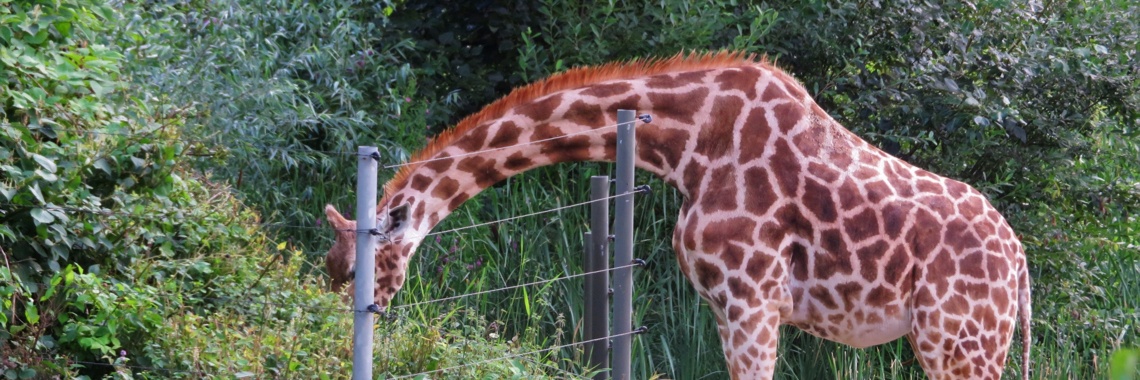 De kleine lettertjes... #fotowoorden | Mevrouw Stip...