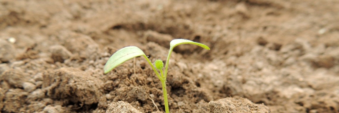 Earth overshoot day 2019... het is weer zover... | Mevrouw Stip...