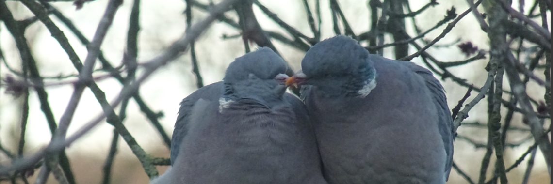 Photo words January 2021... Snoring... | Mevrouw Stip...